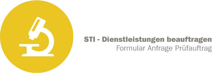 STI - Dienstleistungen beauftragen - Formular Anfrage-Prüfauftrag