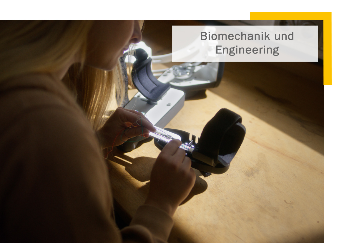 Biomechanik und Engineering - Bachelor of Engineering