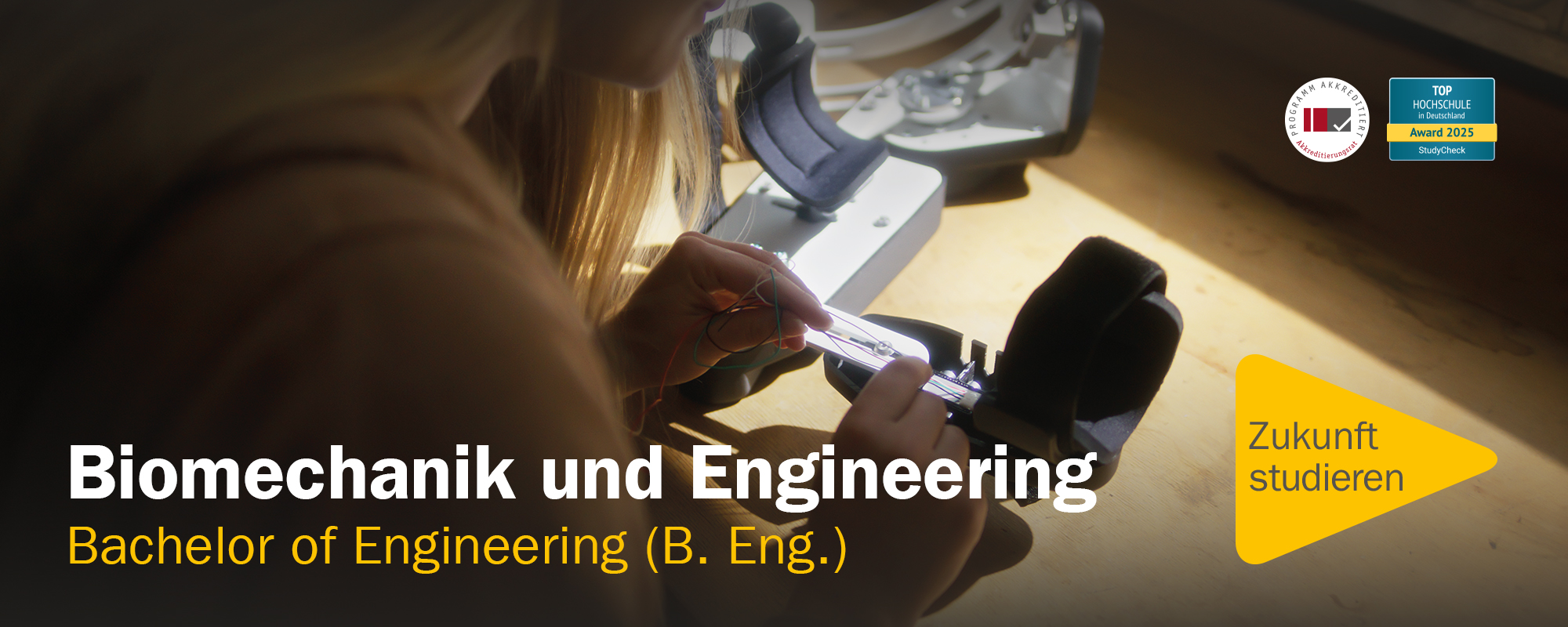 Biomechanik und Engineering - Bachelor of Engineering an der Hochschule Pforzheim