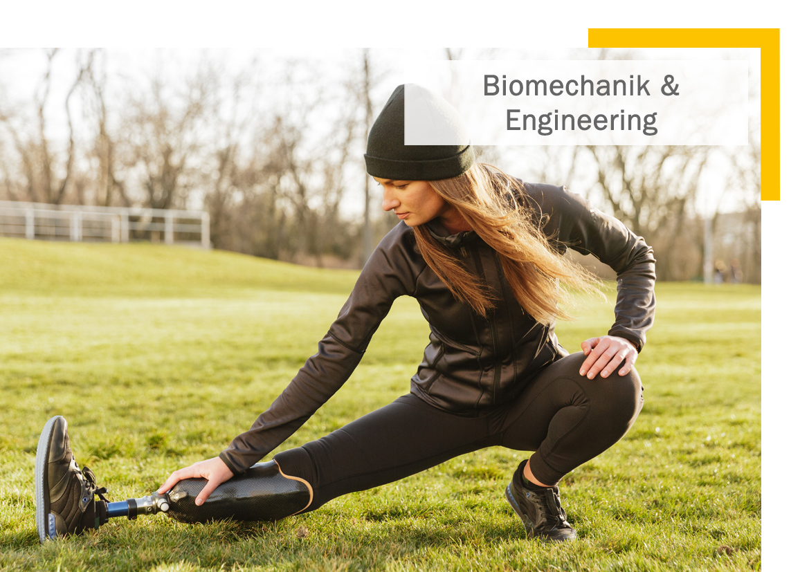 Biomechanik und Engineering - Bachelor of Engineering (B. Eng.)