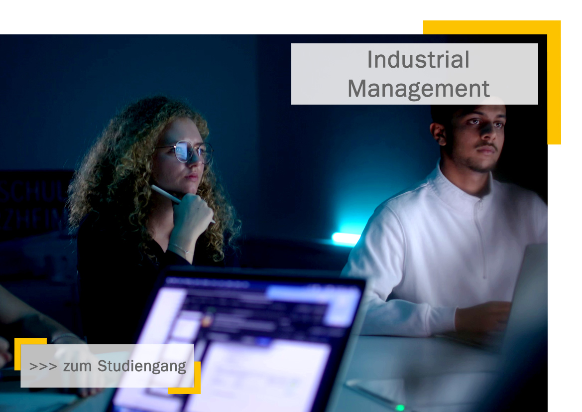 Master-Studiengang Industrial Management 